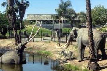 a large elephant standing next to a body of water with La Brea Tar Pits in the background