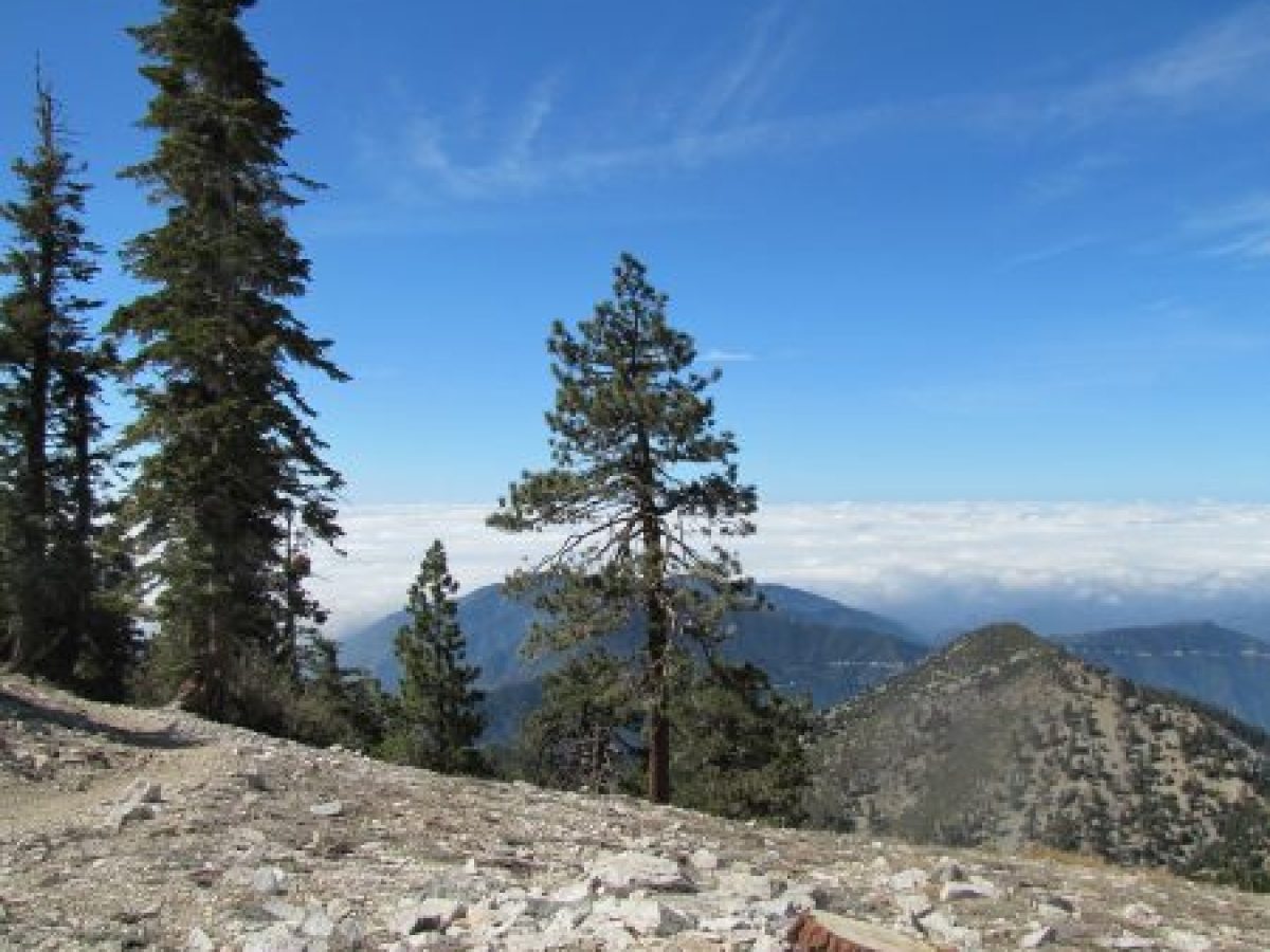 mountain hiking tours los angeles