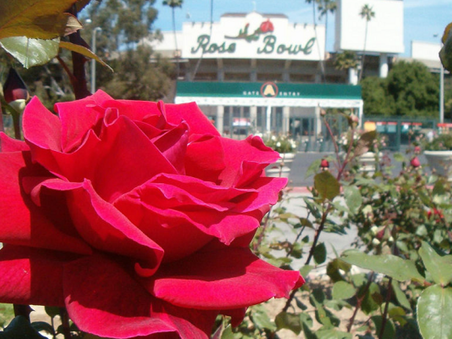 rose bowl football stadium group fun run