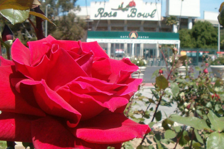 rose bowl football stadium group fun run