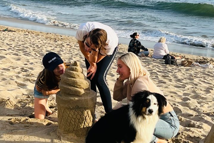 a group of people on a beach with a dog build a sand castle
