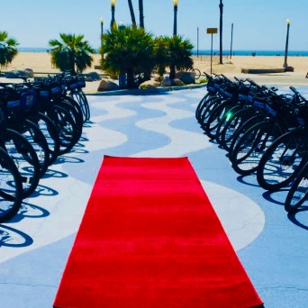 a row of bicycles lined up next to a red carpet in venice california