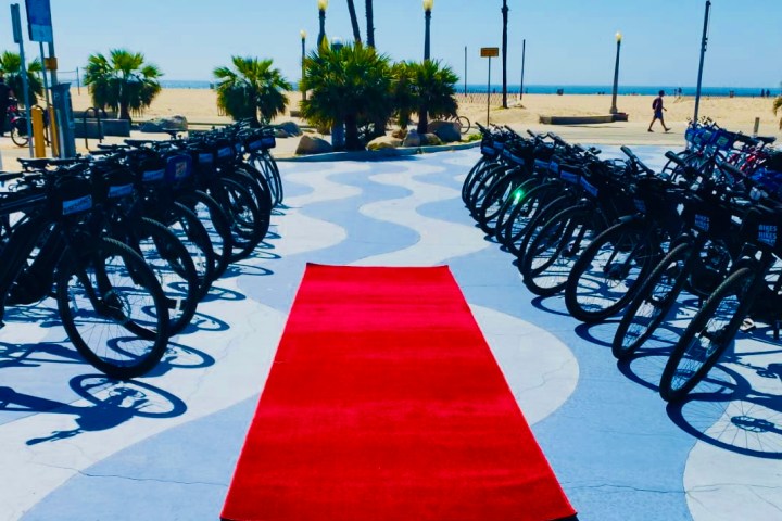 a row of bicycles lined up next to a red carpet in venice california