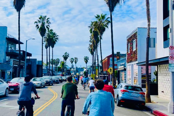 a group of people riding bikes down a street in venice ca