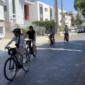 a group of people riding on the back of a bicycle