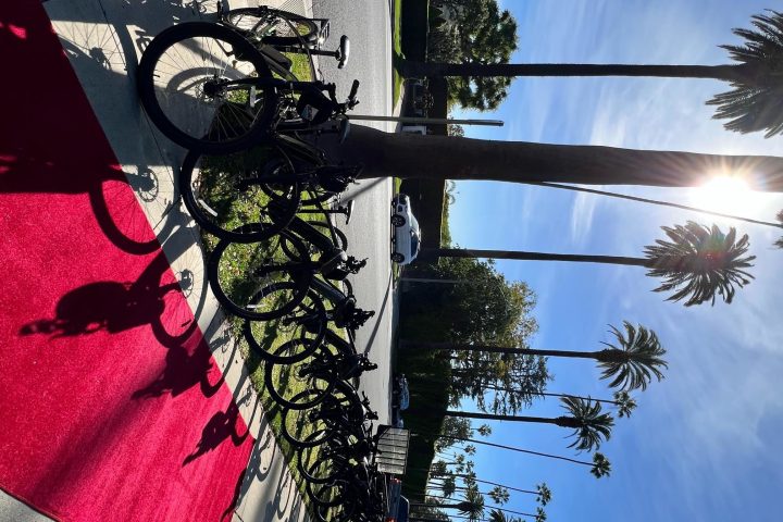 a bicycle leaning against a tree