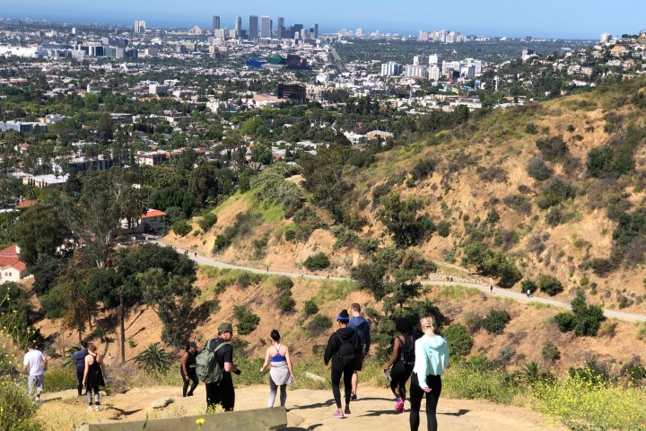 Hollywood Hills Hike