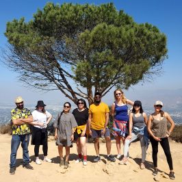 group of people in front of wisdom tree in hollywood