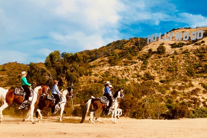 two people on horses below the hollywood sign