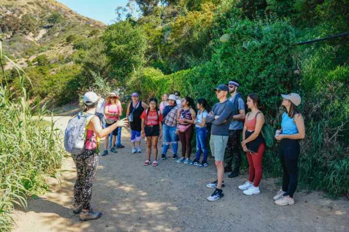 a group of people standing next to a tree