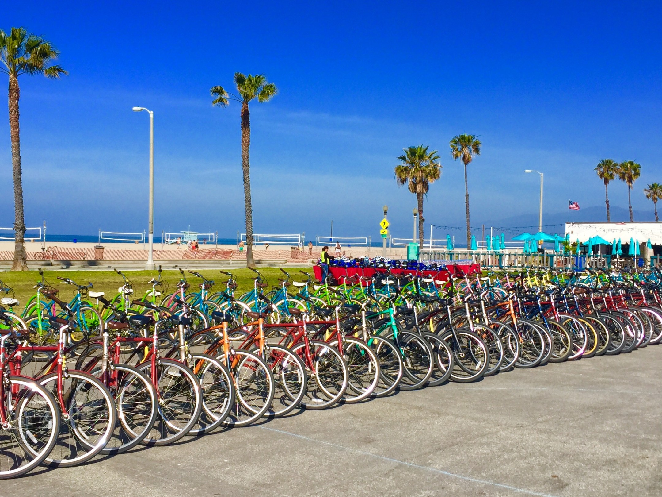 private bike tour lineup