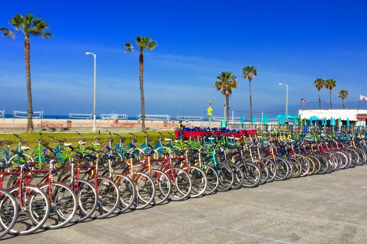private bike tour lineup