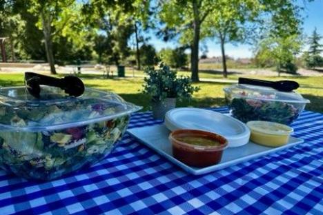 a blue and white plate sitting on top of a picnic table