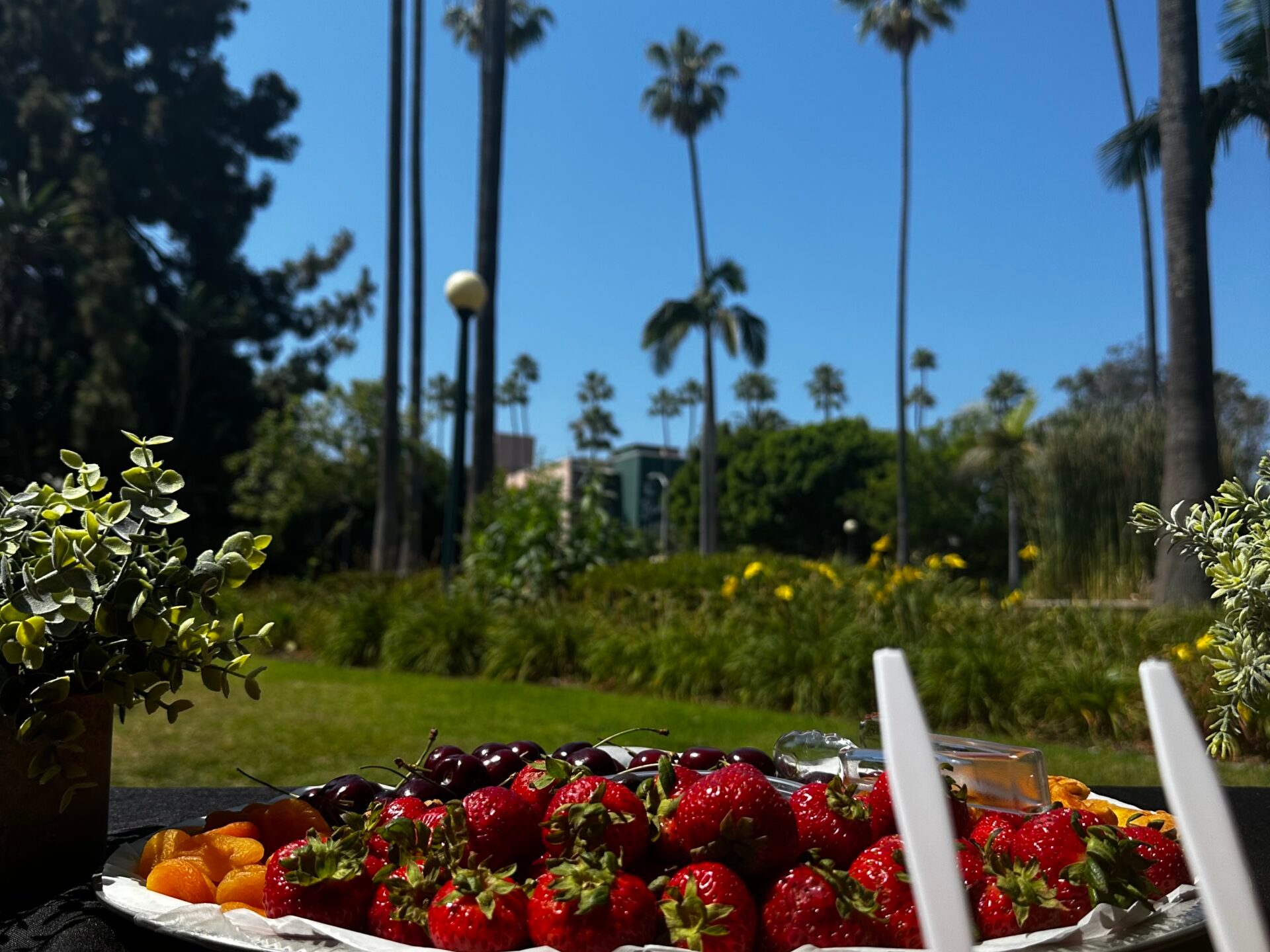 a plate of food on a picnic table