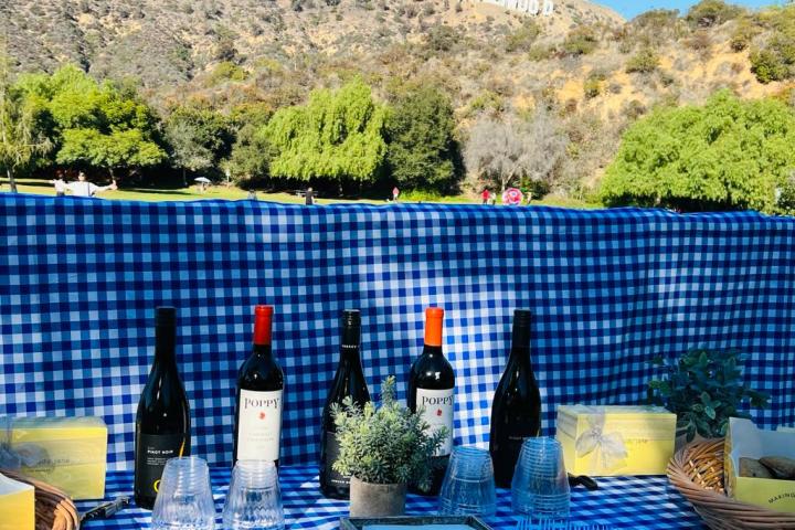 a group of people sitting at a table with a mountain in the background