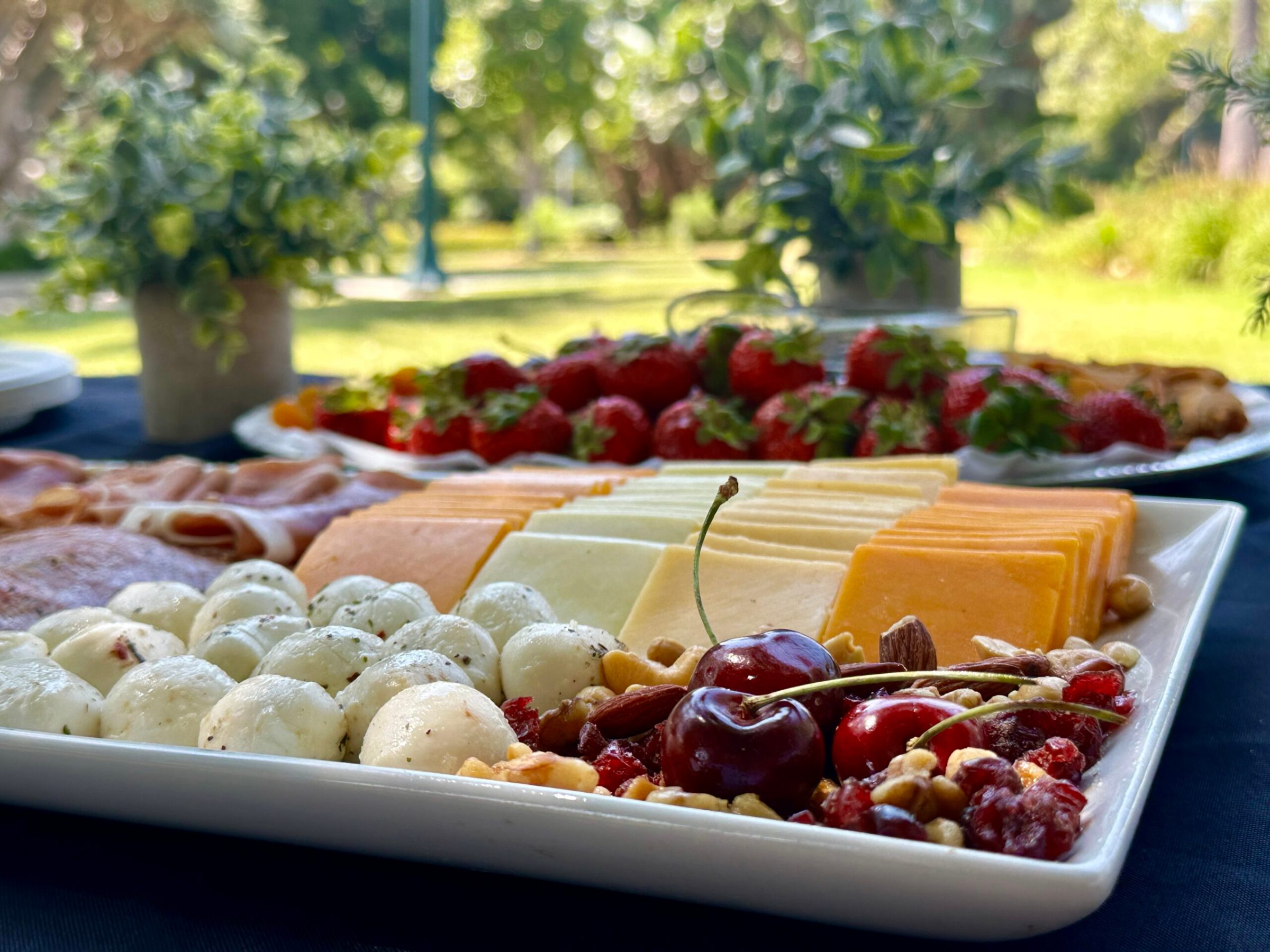 Charcuterie board picnic lunch