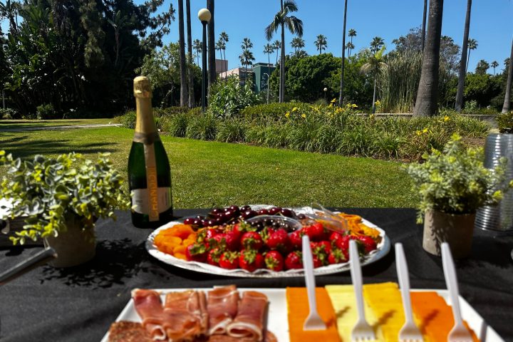 a plate of food on a picnic table