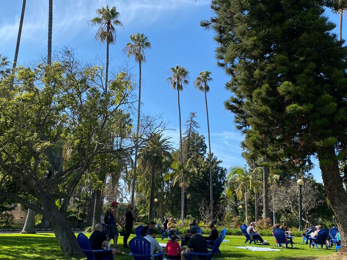 a group of people in a field next to a tree