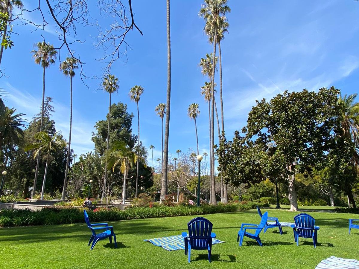 a group of people in a park