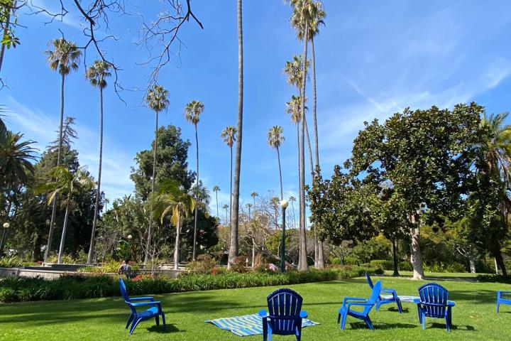 a group of people in a park
