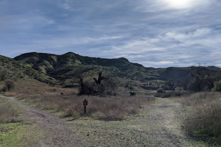 group fitness activities westlake nature walk