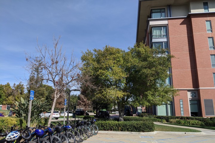 a row of parked motorcycles sitting in front of a brick building