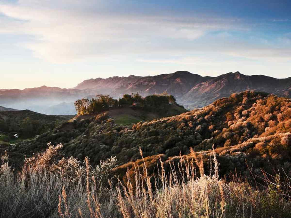 a herd of sheep standing on top of a mountain