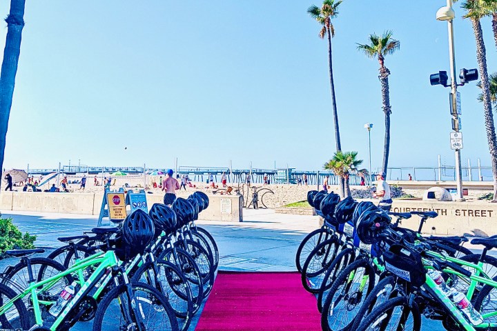 a bicycle is parked next to a tree