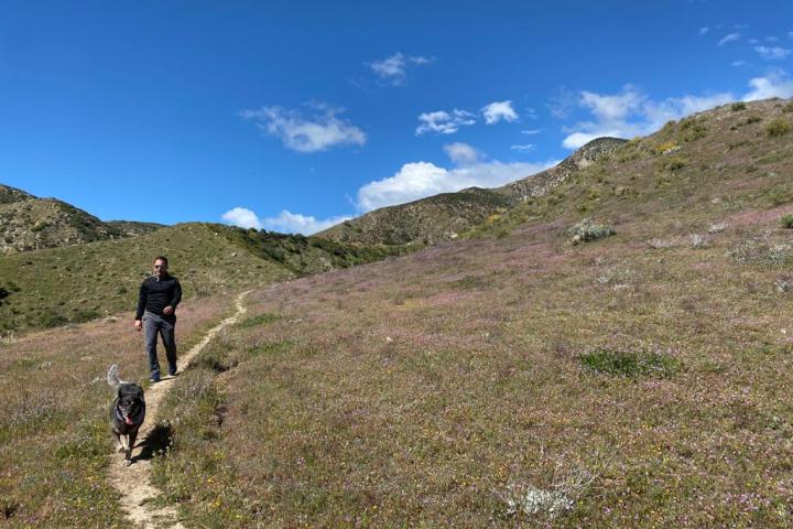 a man standing on a grassy hill