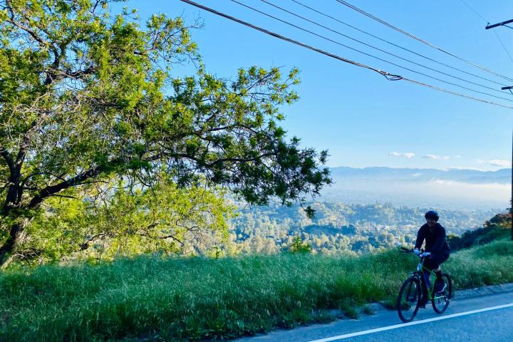 a person riding a bicycle on a road