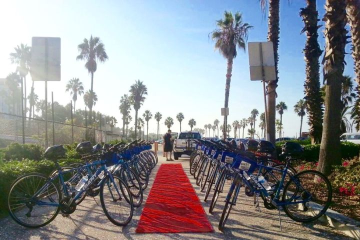 a bicycle is parked next to a tree