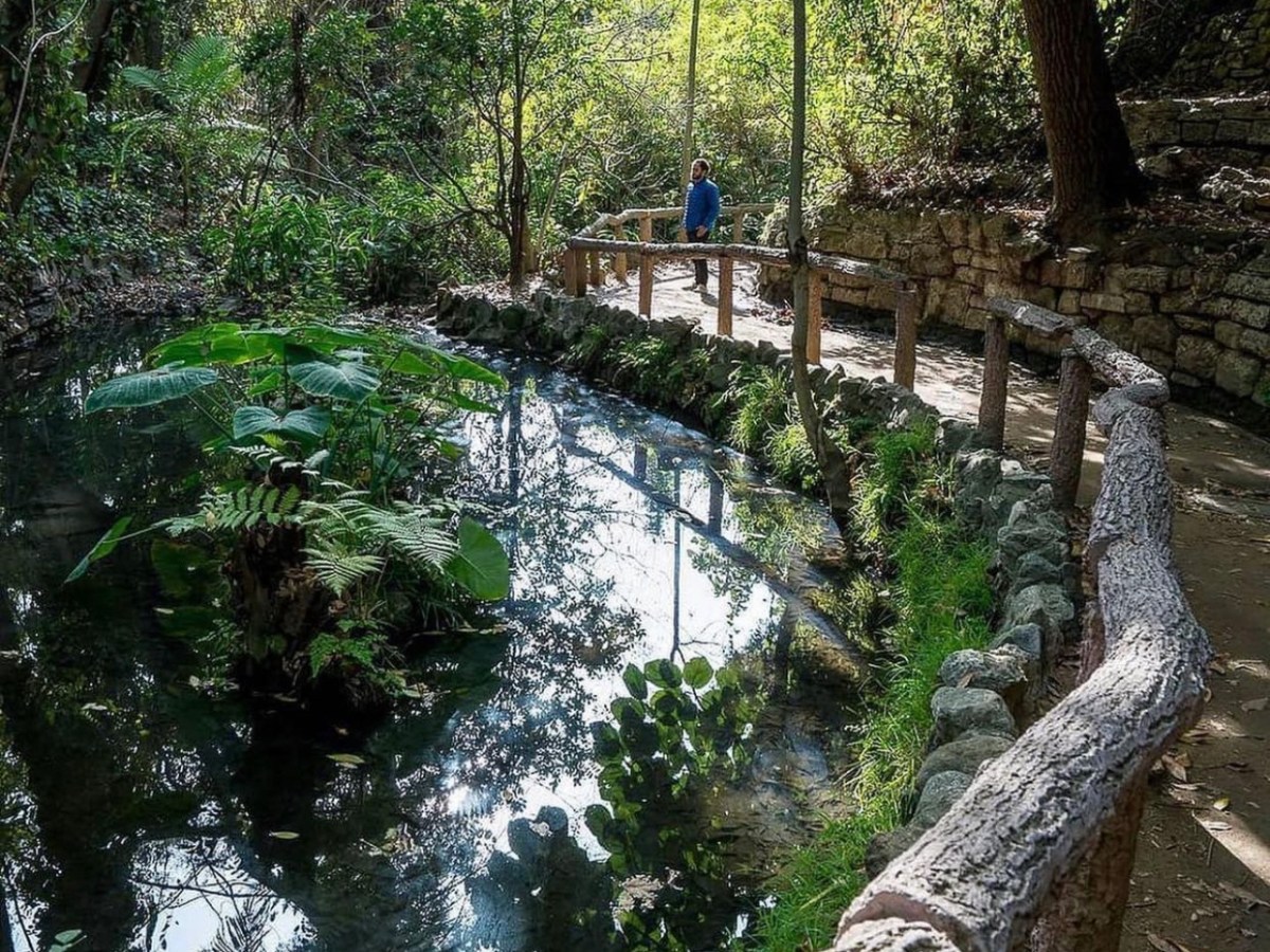 a creek in a forest with a hiker on a path in los angeles