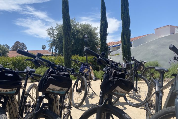 a bicycle is parked next to a tree