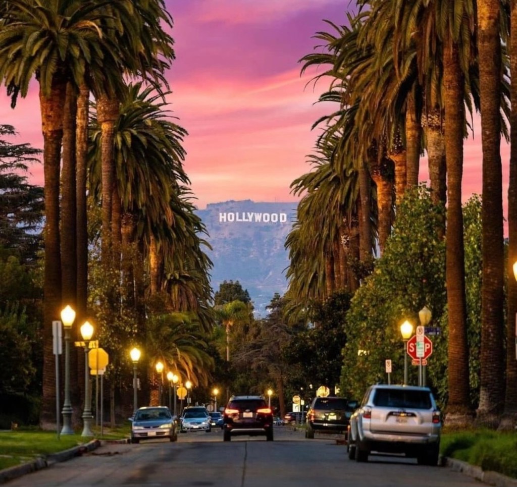 a view of a city street lined with palm trees