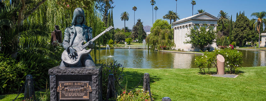 a person sitting on a bench in front of a tree