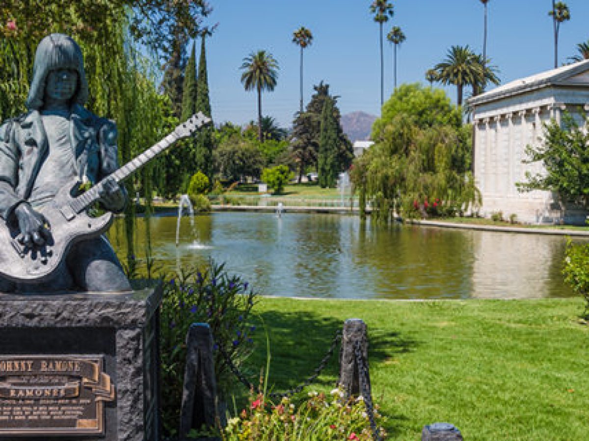 a person sitting on a bench in front of a tree