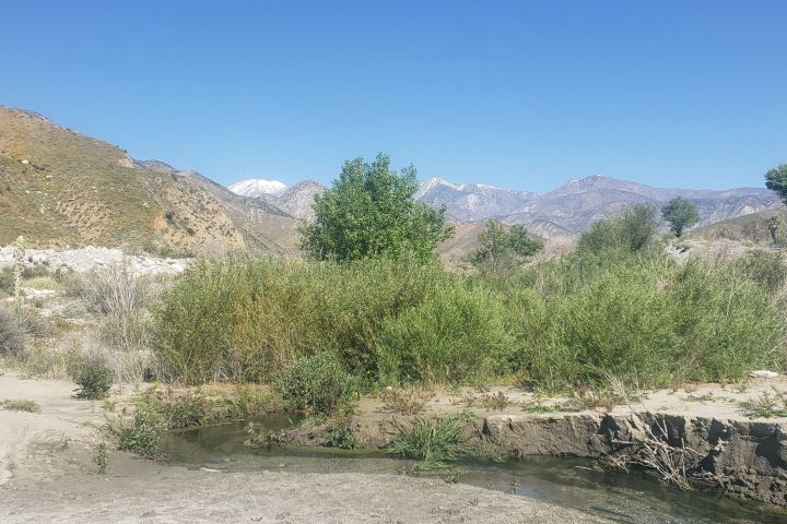 a whitewater canyon surrounded by green shrubs and mountains in the background on a palm springs hike tour
