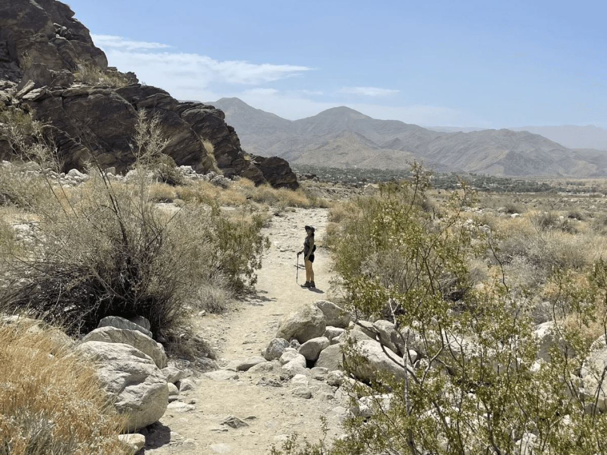 a herd of sheep standing on top of a mountain