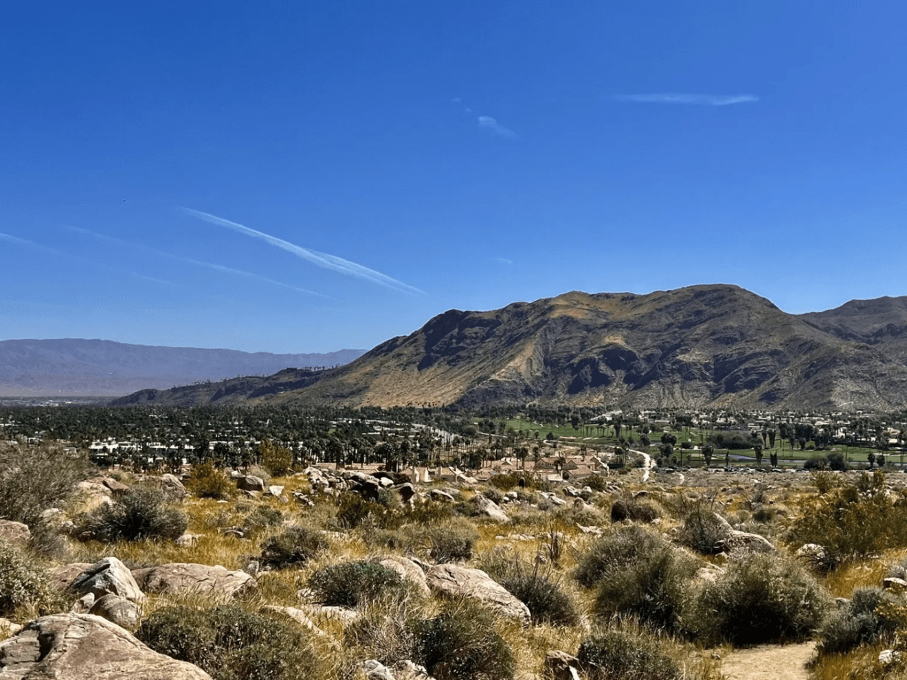 a herd of sheep grazing on a dry grass field