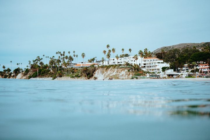 a flock of seagulls next to a body of water