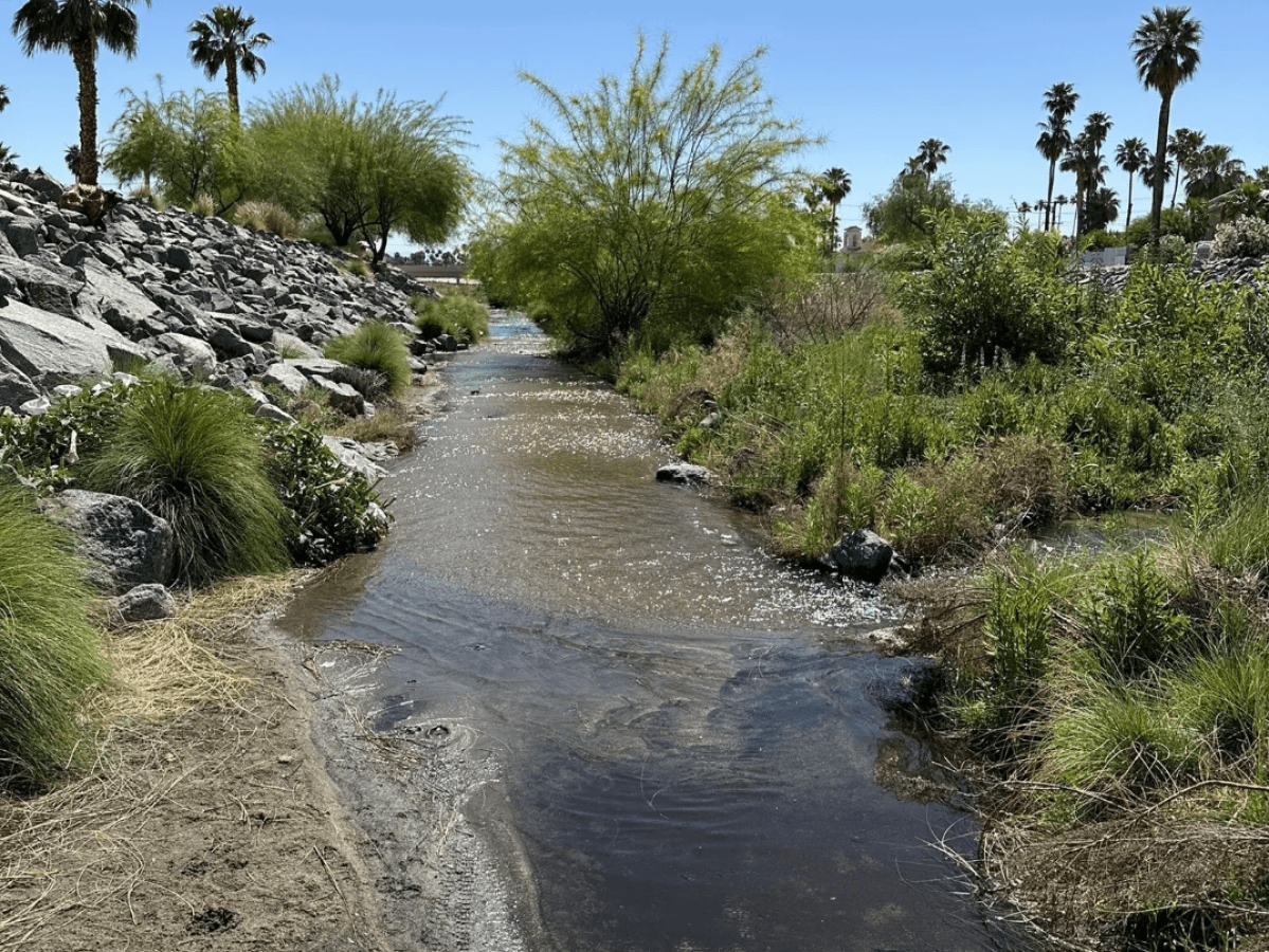 Palm Springs River Trail Hike