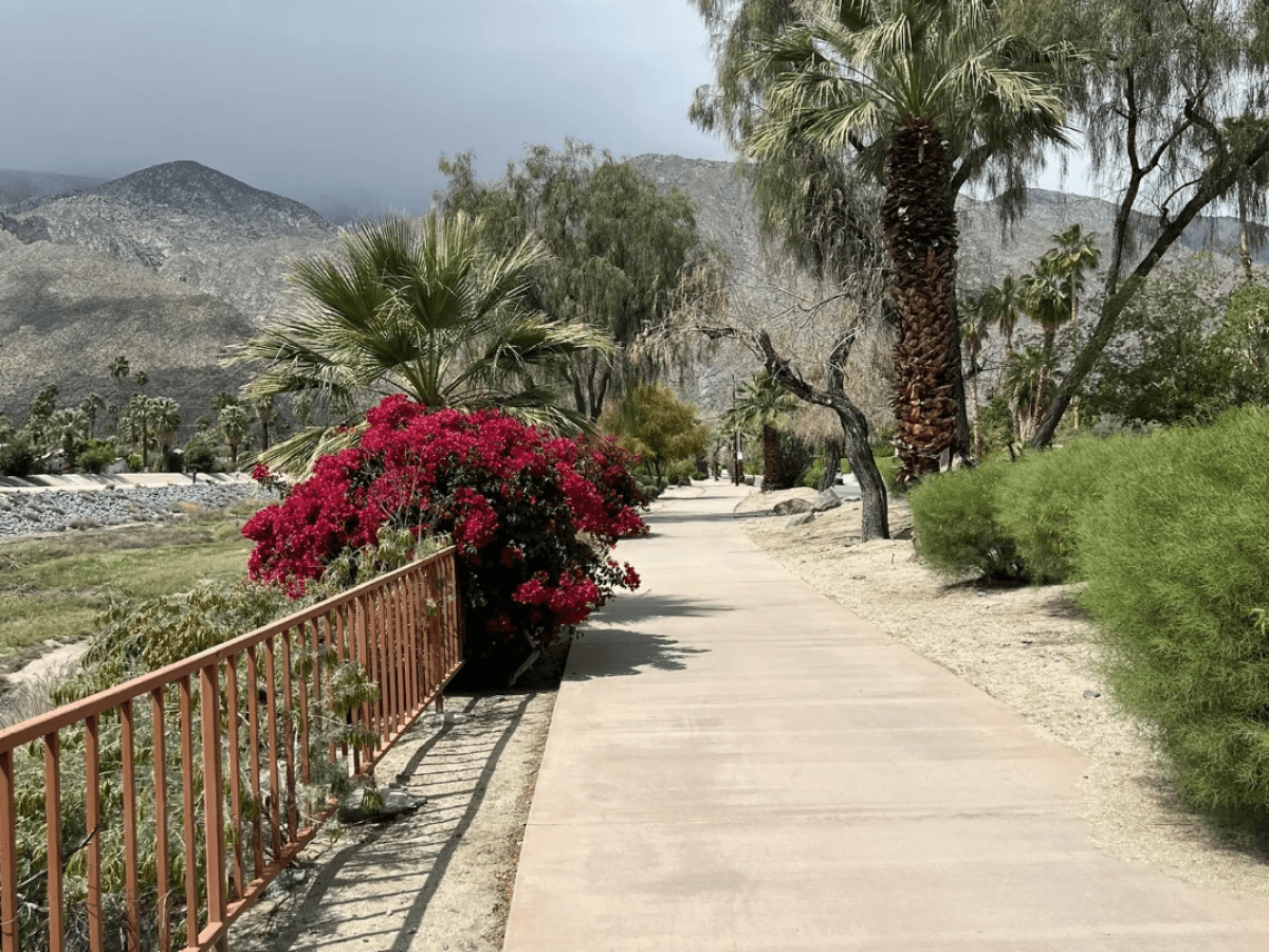 Palm Springs Hike