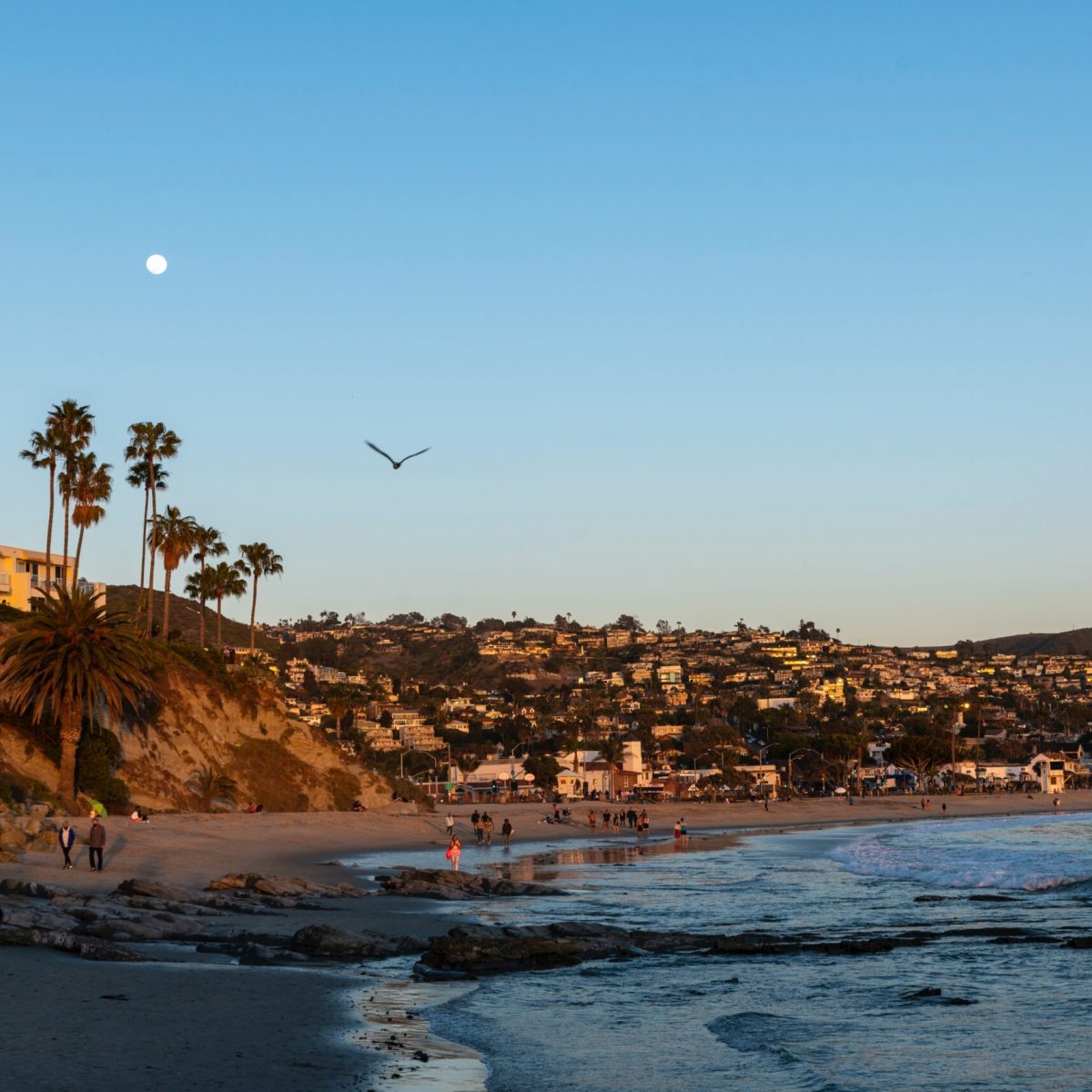 a group of people on a beach near a body of water