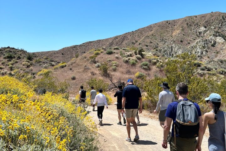 a group of people taking a group hike of joshua tree