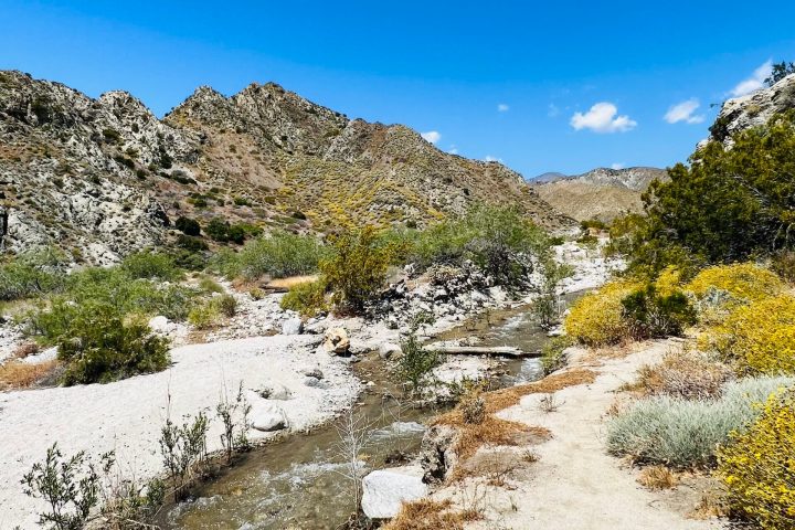 a man on a rocky hill