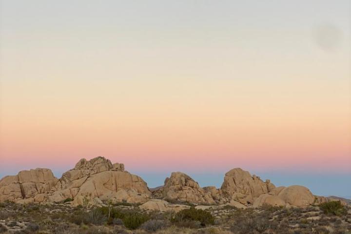 a view of joshua tree national park from a joshua tree group tour