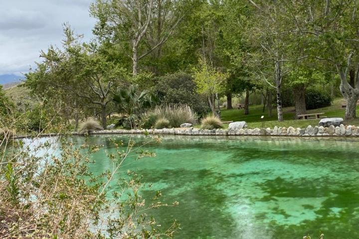 a body of water surrounded by trees