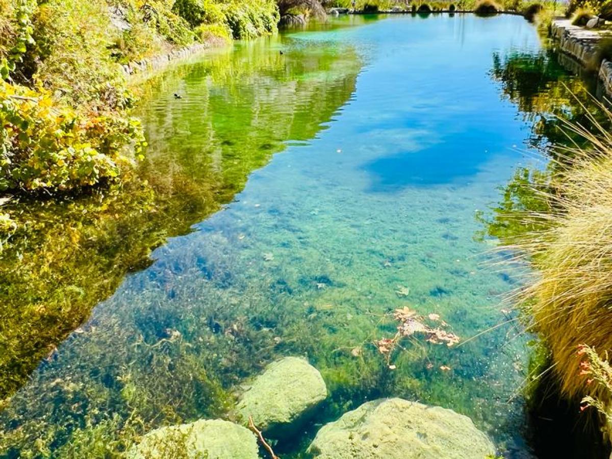 a body of water surrounded by trees on a palm springs tour
