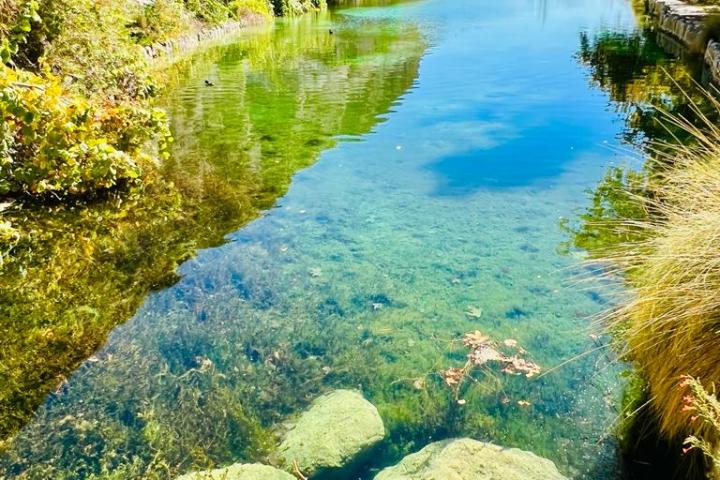 a body of water surrounded by trees on a palm springs tour
