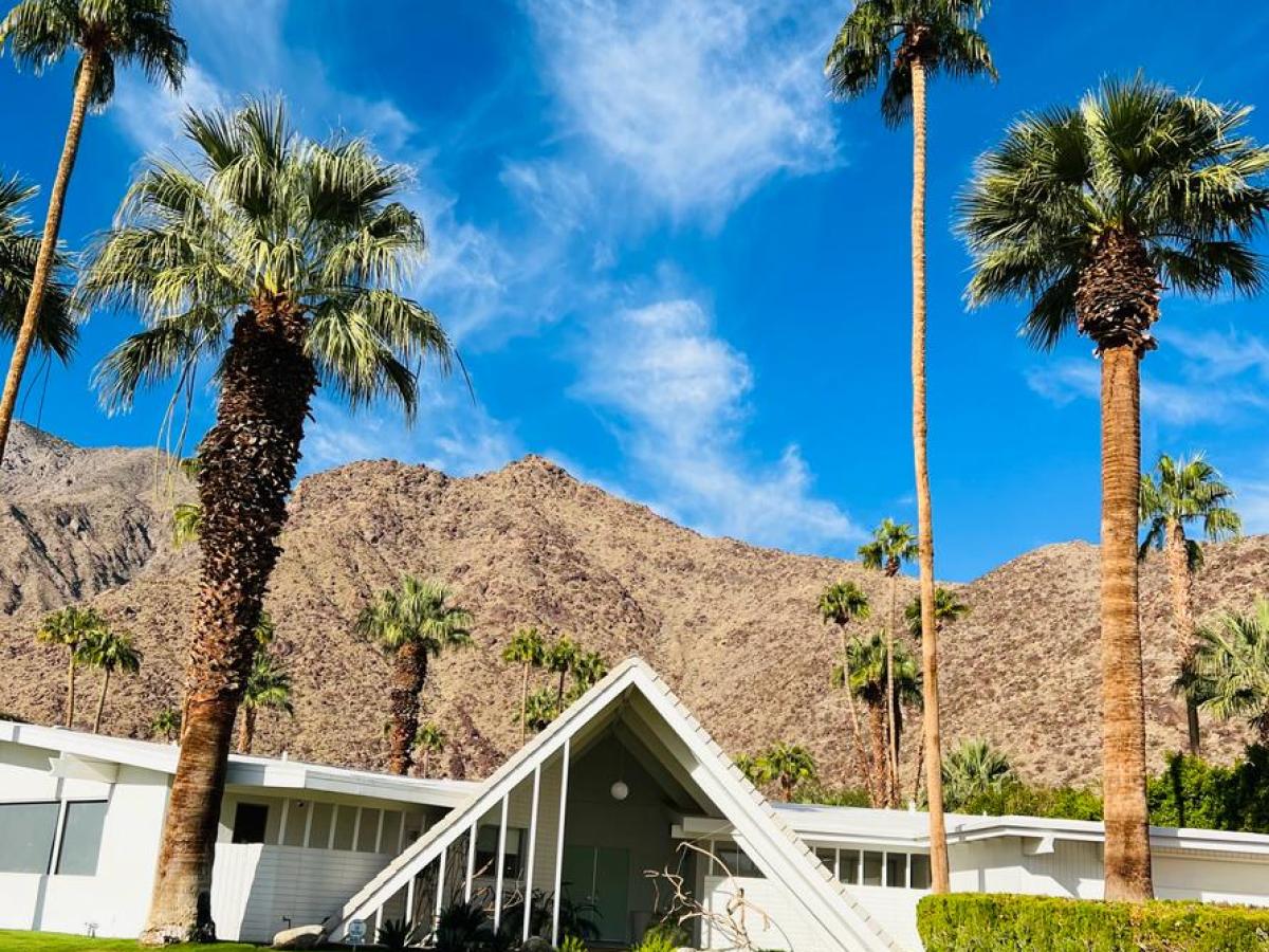 a large lawn in front of a house in palm springs on a group tour